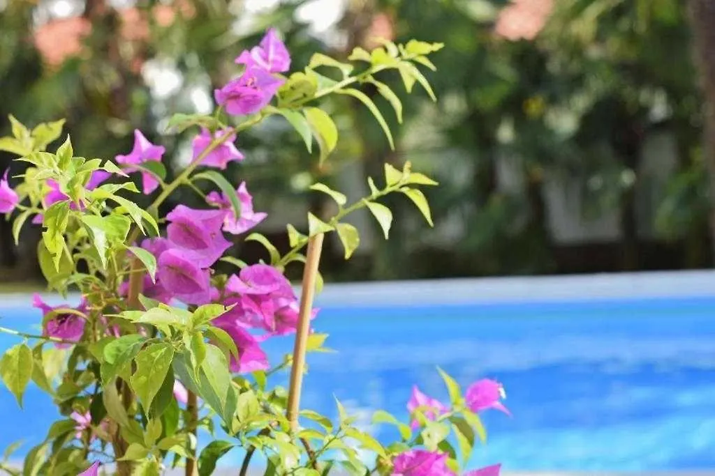Apartment In Porec With Balcony, Wifi 819-3